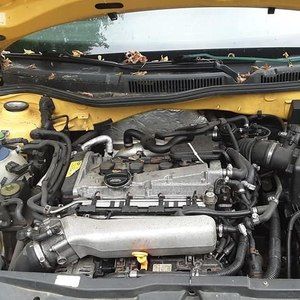 Meet your Posher, Louie